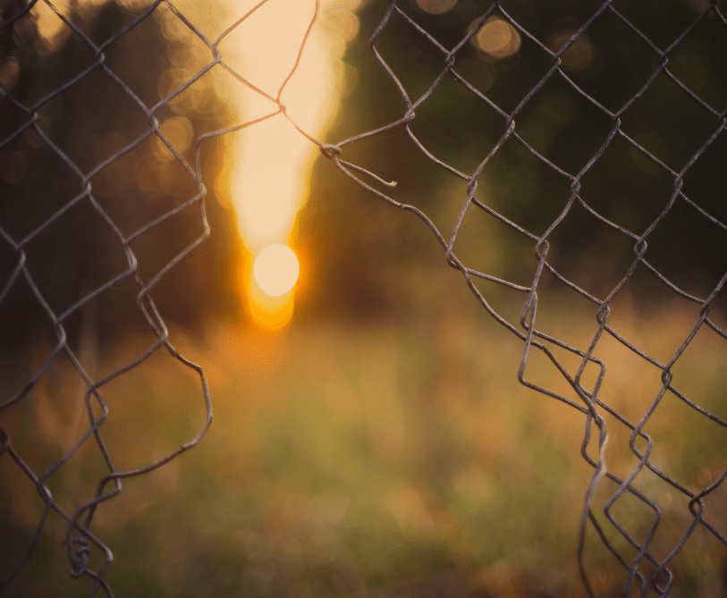 Finding Freedom in Prison