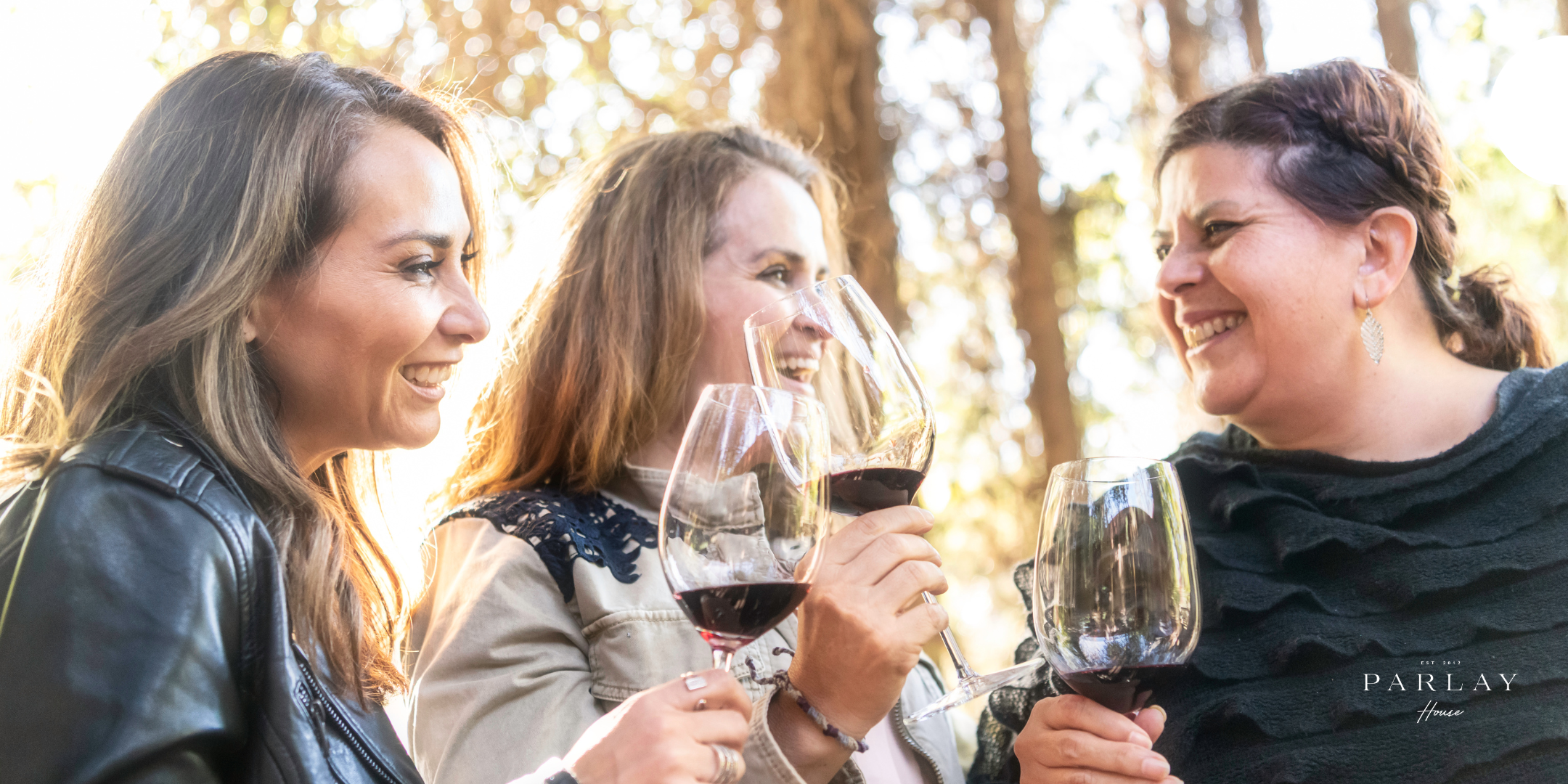 Sacramento Bailarin Event Header